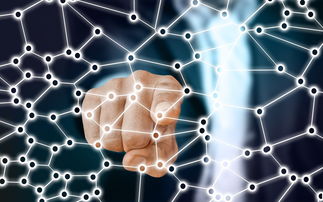 九游APP-中国篮球职业联赛青训体系的结构优化，中国青年篮球联赛简称