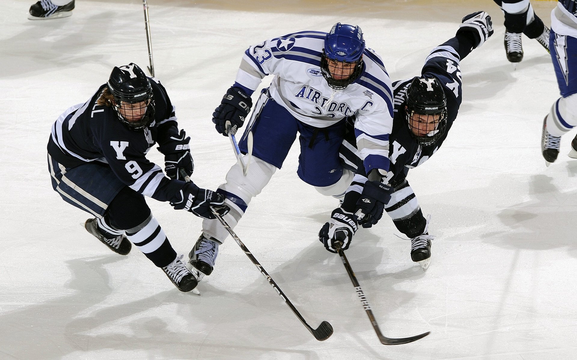未来“足球皇者”崭露头角：新星引领潮流，足球皇家俱乐部